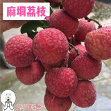 【冷链空运/果园直发】广西麻垌荔枝 5-10斤 禾荔 桂味 情人荔 麻垌