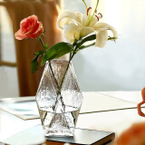盛世泰堡 玻璃花瓶透明水养植物插花瓶富贵竹百合玫瑰水培容器大花瓶客厅桌面摆件 冷纹菱形款