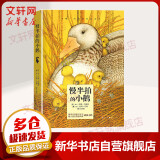 慢半拍的小鹅