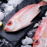 叼鲜生 冷冻红目鲷鱼500g  深海海鱼4-6条 国产海鲜水产