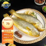 三都港 冷冻三去大黄鱼1kg/2条装 黄花鱼 深海鱼 生鲜 鱼类 海鲜水产