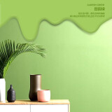 臻蒂 内墙漆彩色乳胶漆墙面室内漆自刷油漆粉刷翻新内墙涂料墙面白色 田园绿 1kg