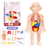 爸爸妈妈人体解剖器官内脏构造结构模型身体部分认知学生男女孩儿童玩具男孩女孩生日六一儿童节礼物