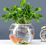 易萌 桌面鱼缸 小型 创意 金鱼缸 圆形玻璃鱼缸 家用客厅鱼缸 水培容器 玻璃花盆绿萝花盆15cm
