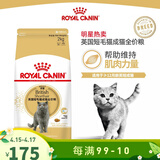 皇家英短猫粮
