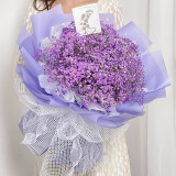 艾斯维娜鲜花速递满天星玫瑰花束送女友生日礼物全国同城配送 紫色满天星花束