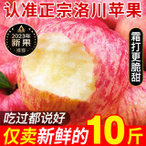 沙窝曙光陕西洛川红富士苹果水果新鲜脆甜冰糖心时令应季丑苹果水果礼盒 带箱9.5斤70-80mm（净重8.5斤）