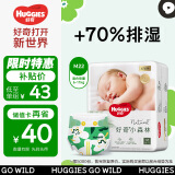 好奇（Huggies）心钻装小森林纸尿裤M22片(6-11kg)中号婴儿尿不湿纯超薄透气