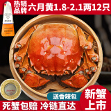 【活蟹】蟹爵大闸蟹六月黄1.8-2.1两12只 鲜活螃蟹现货生鲜水产