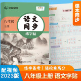 华夏万卷 八年级上册语文同步练字帖 初中生2023秋课本同步人教版抄写本 天天练描红练字本字词句段临摹楷书字帖手写规范字体