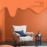 臻蒂 内墙漆彩色乳胶漆墙面室内漆自刷油漆粉刷翻新内墙涂料墙面白色 香橙色 1kg