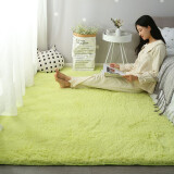 爱尚象地毯加柔长绒客厅书房地毯卧室床边飘窗铺毯可定制 加厚 羊羔绒 草绿色 50*160厘米