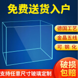 螳螂虾