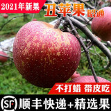 云南昭通丑苹果水果生鲜冰糖心红富士【新果】含箱十斤装 85-100mm