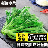 良知农哥【顺丰】山东冰草 新鲜冰菜沙拉蔬菜冰叶 健康轻食 3斤