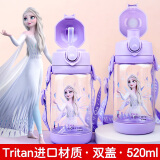 迪士尼（Disney）儿童水杯双盖Tritan宝宝夏季吸管塑料杯女学生户外水壶520ML公主