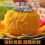 愉果（yuguo）山东潍坊贝贝小南瓜 新鲜蔬菜 5斤装专享