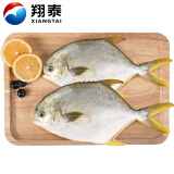 翔泰冷冻海南金鲳鱼700g 2条 生鲜鱼类 深海鱼  烧烤食材 海鲜水产