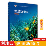 包邮 普通动物学 第4版 第四版 刘凌云 高等教育出版社 高等教育