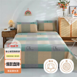 艾薇（AVIVI）老粗布床单加厚粗布凉席双人床单单件 格调至雅绿 230*250cm