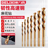 德力西（DELIXI）高硬度麻花钻头不锈钢合金钢铁韧性高速钢打孔DLX-042【1.0mm】