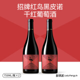 醉鹅娘 如饴火烈鸟酒系列红鸟黑皮诺智利进口红酒 干红葡萄酒750ml双支