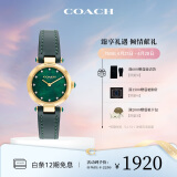 蔻驰（COACH）CARY系列人造水晶小牛皮表带手表女表14503951小绿表 礼物