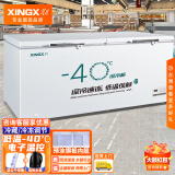 星星（XINGX）超低温商用冷柜零下60度三文鱼金枪鱼速冻柜 负40度家用海鲜急冻柜大容量冷冻柜铜管 BD/BC-718五面制冷（718升 -40度）