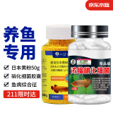 备能（BEINENG）日本黄粉鱼药+精品级硝化细菌胶囊鱼缸用杀菌消毒水族药剂