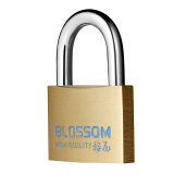 梅花（BLOSSOM）铜挂锁 宿舍家用门锁 防盗窗锁防水防锈锁 车厢柜门锁45MM（075）