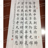 50字五言古诗长歌行正田欧楷书书法作品毛笔字画装饰手写真迹 长歌行