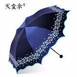 天堂晴雨伞蓝色