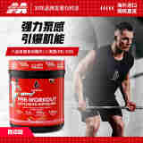 肌肉科技（MUSCLETECH）SIXSTAR撕裂氮泵西瓜味爆发力健身运动补剂170g（20份）