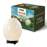 保卫蛋蛋 鸵鸟蛋  送礼佳品 一枚 礼盒装1.25kg/枚礼盒
