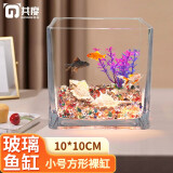 共度（Gong Du）玻璃方形金鱼缸办公桌绿萝水培家用创意小鱼缸小型迷你桌面乌龟缸 小号方形裸缸 10*10CM