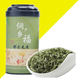 侗乡福2024春茶贵州茶叶绿茶散装明前嫩芽 高山云雾板栗香毛尖茶125g|罐