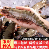 沃派 马来西亚精品黑虎虾 超大活冻大虾 特大对虾大号草虾 800g 14-15