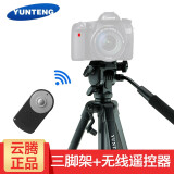 云腾（YUNTENG） vct-80三脚架单反相机微单摄像机拍摄专业支架便携 手机直播拍照落地三角架 三脚架+相机遥控器 尼康D610/D750相机用