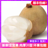 龙宫小町