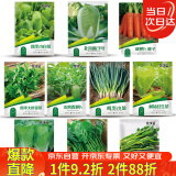 花沃里10款蔬菜种子套餐秋冬季 胡萝卜白菜水果萝卜香菜小葱菠菜生菜籽