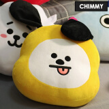 少年团bt21卡通抱枕靠垫公仔可爱金泰亨网红玩偶娃娃 【小狗 chimmy】