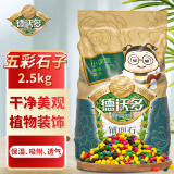 德沃多肥料 五彩石子2.5kg 花盆垫底拌土回填保水透气水培无土栽培基质绿植花卉多肉养花铺面石