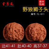tjp 涞水文玩核桃 野狼狮子头41mm 野生小众品种 大肚野狼自然桩精对