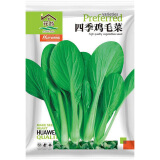 花翁 鸡毛菜种子18天可采摘四季小白菜上海青菜种籽油菜阳台盆栽蔬莱孑