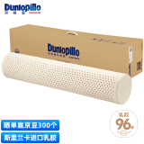 邓禄普（Dunlopillo）ECO长抱枕 斯里兰卡进口天然乳胶枕头 颈椎枕 乳胶含量96% 