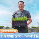 原起点阳台楼顶种菜箱长方形蔬菜种植箱神器种菜盆菜箱塑料花箱户外 常用1联箱 50*40*22cm