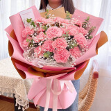 艾斯维娜520情人节鲜花速递向日葵混搭花束生日礼物全国同城配送 19朵康乃馨花束