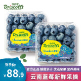 driscoll"s 怡颗莓 云南蓝莓 新鲜水果 当季蓝莓 生鲜水果 约125g/盒