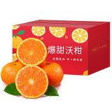 鲜火新鲜沃柑 橘子柑橘新鲜水果应季礼盒新鲜生鲜整箱水果柑桔 精选5斤大果装（60-70mm)