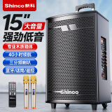 新科 （Shinco）T30广场舞音响户外大音量拉杆蓝牙音箱三喇叭重低音木质箱体家用K歌移动摆摊 15吋双咪